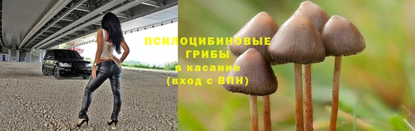 mdpv Алзамай