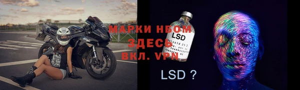 прущие грибы Алексеевка